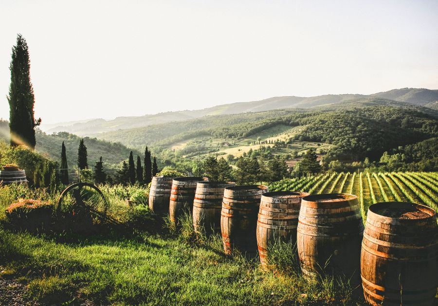 Orchards, Vineyards Golf Courses: Rethinking Grounds Maintenance Beyond Riding Lawn Mowers