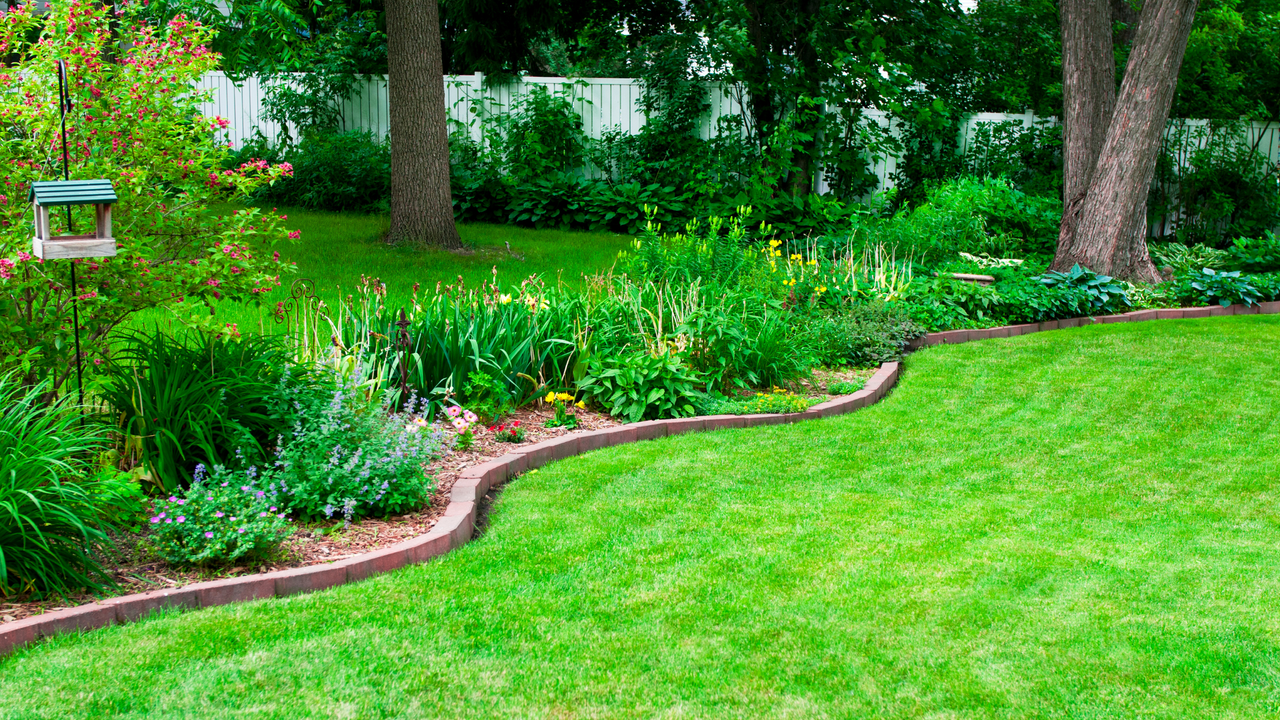 Summer lawn care