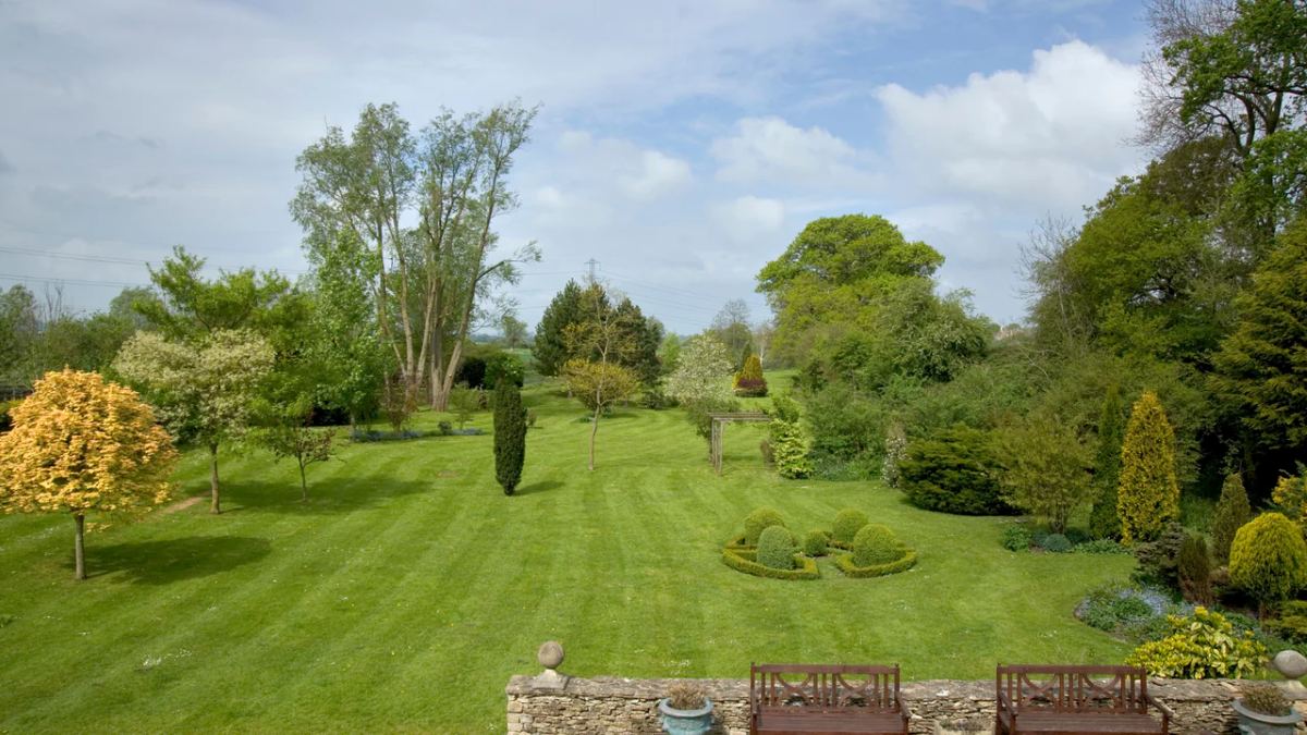 Stripe Lines on Yard