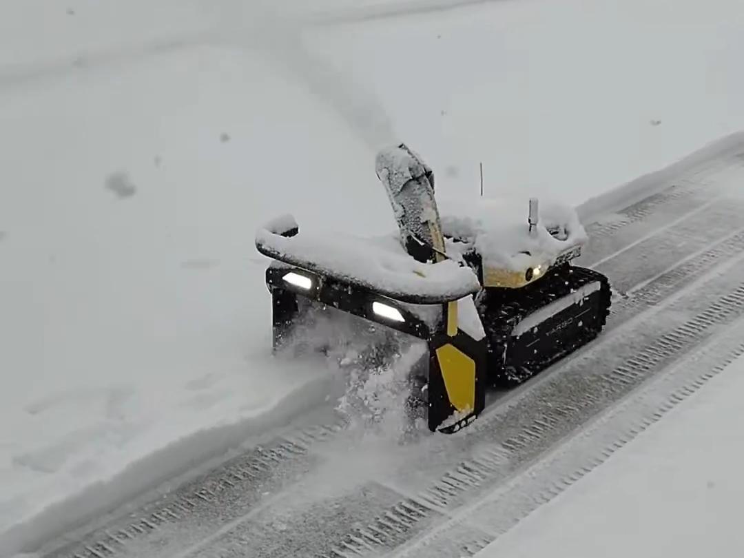Life span of a robot snow blower 
