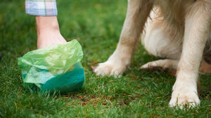Do Robot Lawn Mowers Avoid Dog Poop? (The Truth You Need to Know!)