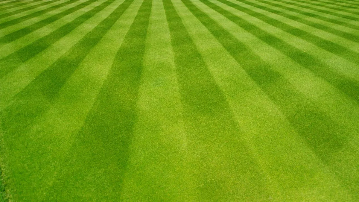 Eye-Catching Lawn Mowing Patterns to Try