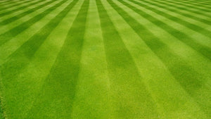 Eye-Catching Lawn Mowing Patterns to Try