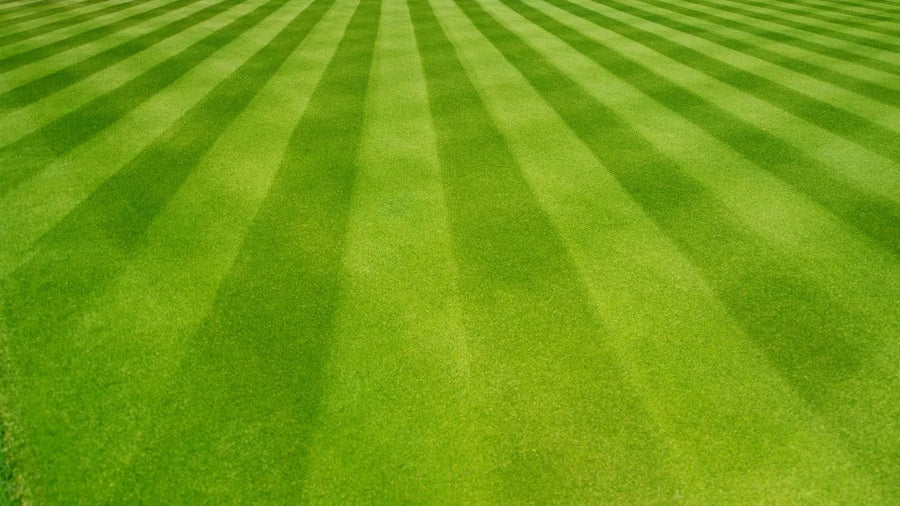 Eye-Catching Lawn Mowing Patterns to Try