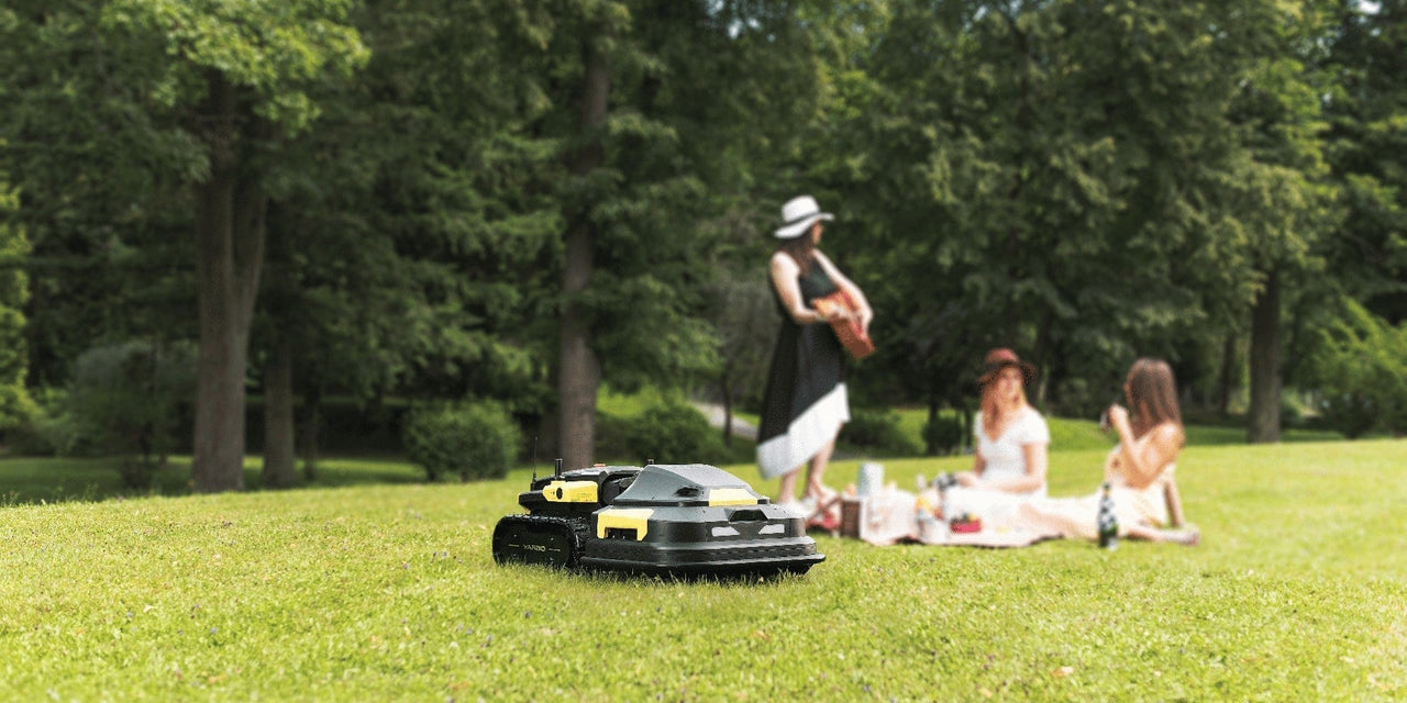 5 Essential Lawn Care Tools Every Homeowner Needs