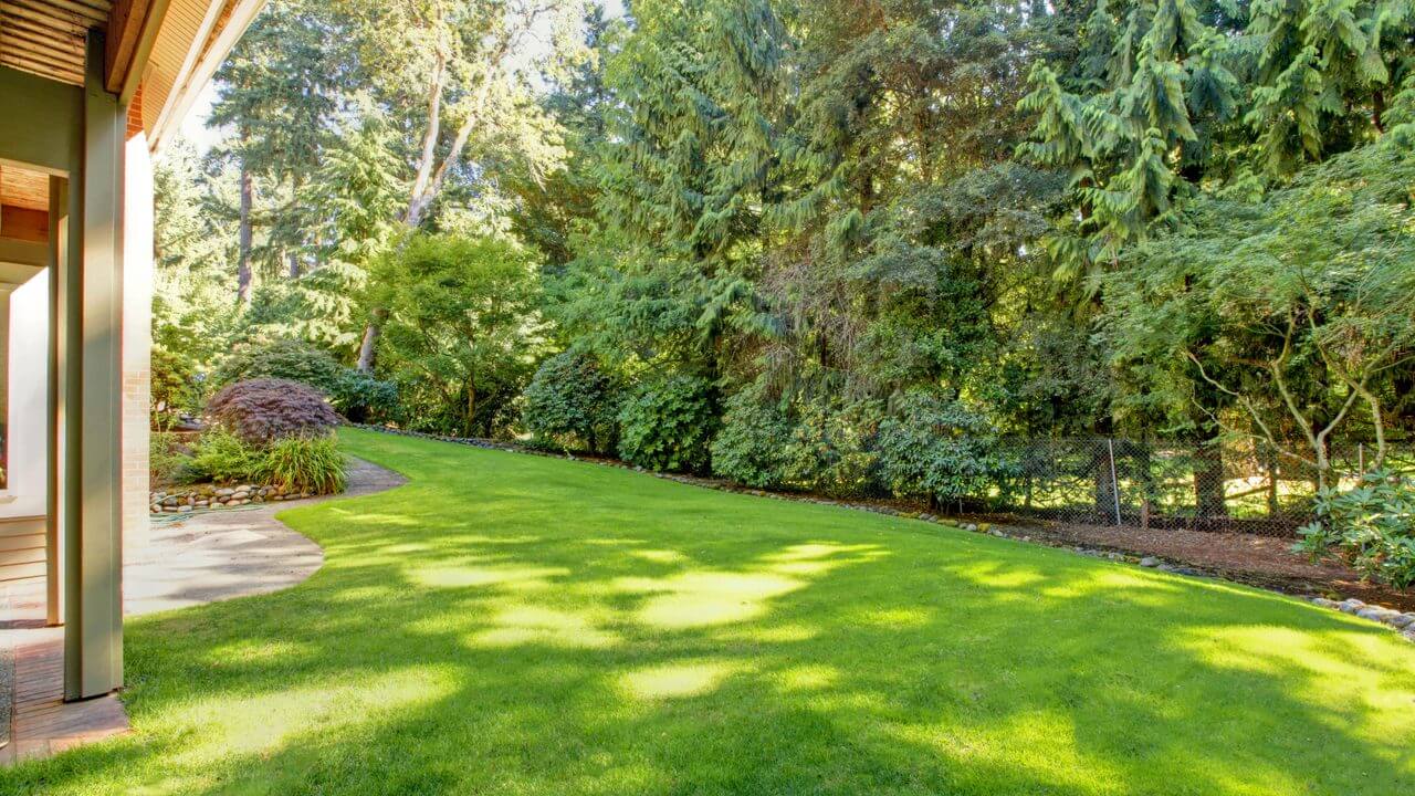 spring green lawn care